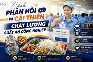 Cách Phản Hồi Và Cải Thiện Chất Lượng Suất Ăn Công Nghiệp